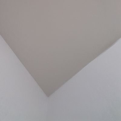 NoAfD12's profile picture. ...