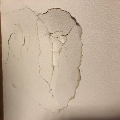 gfkmot's profile picture. 主にラジオやテレビの実況をツイートしています 若者です