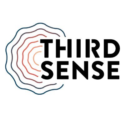 ThirdSense
