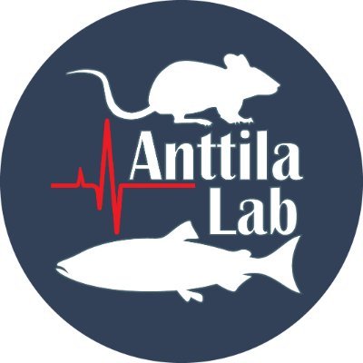 ANTTILA_Lab