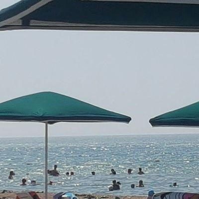 samsungtab1956's profile picture. 