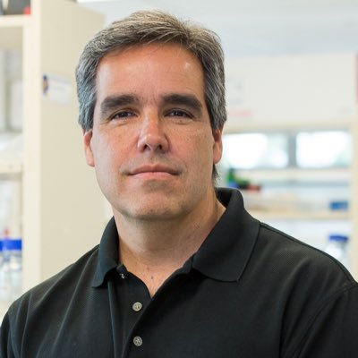 Professor, Western Research Chair in Viral Pathogenesis, Western University