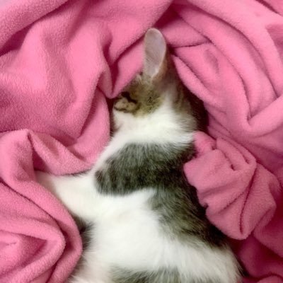 _dynos_'s profile picture. tweeting sad stuffs. proceed with caution.