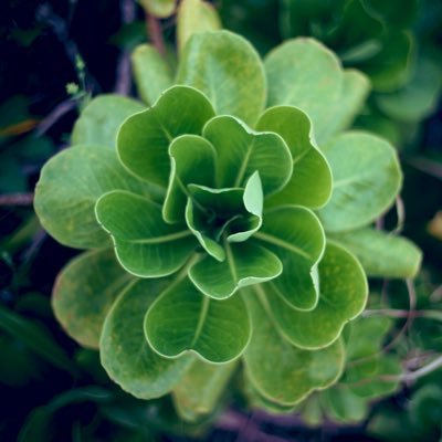 japan_kibou's profile picture. 個人事業　日本株多め😉 BTC2018年🥞🐰 株🇯🇵🇺🇸 トラリピ🤏　最近ザラ場見ること多し。泳ぎが上手くなりたい🏊‍♀️