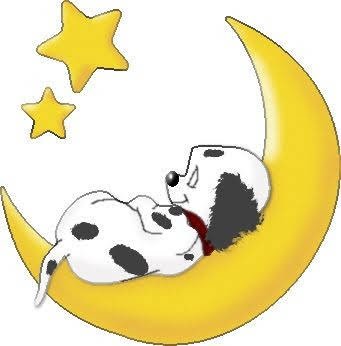 MaggioreCranst1's profile picture. Grandma of 4 lovely grandchildren. Love animals peace loving and funny. If you are Tory or Brexit leave me be cause I will always be SNP. I will block nasties.