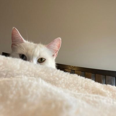 WarleyLou's profile picture. 