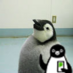 Twitter Profile image of @kyo1117