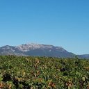 Tomas Pascual - @TomasPascual14 - Twitter