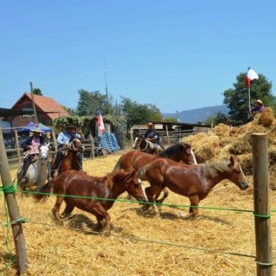 Separemos el grano de la paja