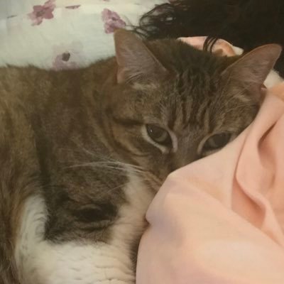 tabithalovessp1's profile picture. Tabitha watches mostly sports, but can occasionally be found watching drama, talk shows or (shhhh) trash TV.