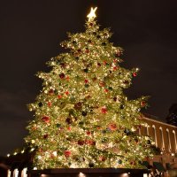 なるほど (@zxyajtdjp) Twitter profile photo