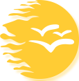 The best Human edited SEO friendly Web directory with comprehensive categories and sub categories, enforced with free web submissions