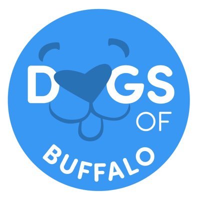 Share your Buffalo Dog by using #dogsofbuffalo! 🐶🐾