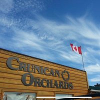 Crunican Orchards (@crunicanapples) 's Twitter Profile