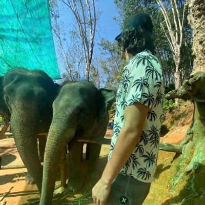 nickerbonkers's profile picture. 