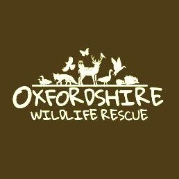 Oxfordshire Wildlife Rescue is a small non profit organisation that rescues and rehabilitates sick injured and orphaned British wildlife