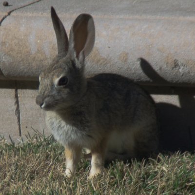 EricRM84's profile picture. Header is of California foliage, displaying it's seasonal hues.

#YangGangForever   #HumanityFirst