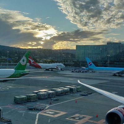 AnkitBhasin12's profile picture. 