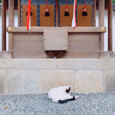 にゃるさんのプロフィール画像