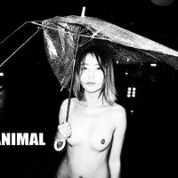 蛋蛋疼 (@long8464033) 's Twitter Profile