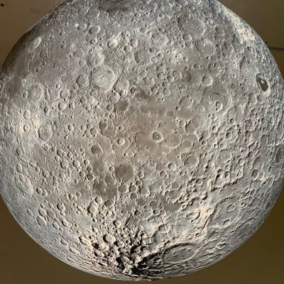 TroyGuitars's profile picture. Perfectly hungry