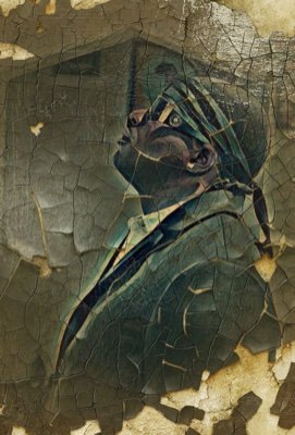 S.D.M. EMPIRE Profile