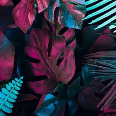 G Qleff Gbe Si Wọn Lati Jọ