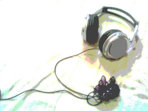 nozomiさんのプロフィール画像