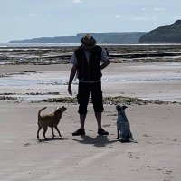 David Warner MBE(@DavidTWarner) 's Twitter Profile Photo