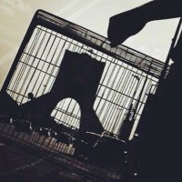 گوووزو (@gooozo) 's Twitter Profile