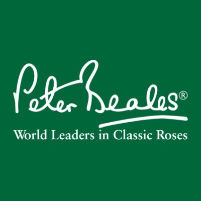 Peter Beales Roses are the World Leaders in Classic Roses with customers all over the world and a very healthy retail Garden Centre & Restaurant