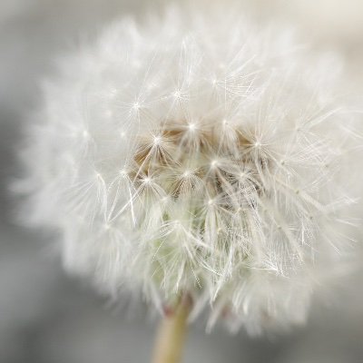 Wellnessangebot's profile picture. Sie suchen ein Wellness angebot oder Spa? Sie wollen ein solches auch LastMinute anbieten? Bitte folgen sie uns.