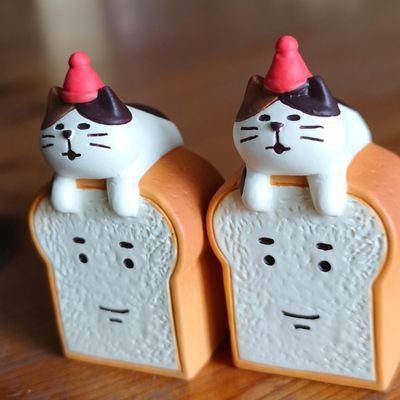 まめのプロフィール写真