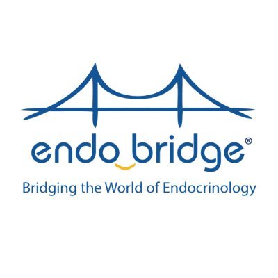 Bridging the World of Endocrinology