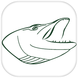 Pikehead09's profile picture. An excellent source of information on pike and pike fishing provided in an easy to read and uncluttered manner.