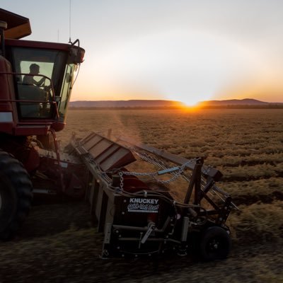 FodderNorth's profile picture. Fodder North is located in the Ord Valley near Kununurra. We are passionate about northern agriculture and the cattle industry.