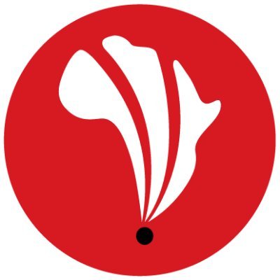 Research ICT Africa Profile