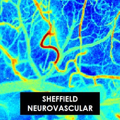 We investigate neurovascular function in health, disease & ageing. (Based at University of Sheffield)