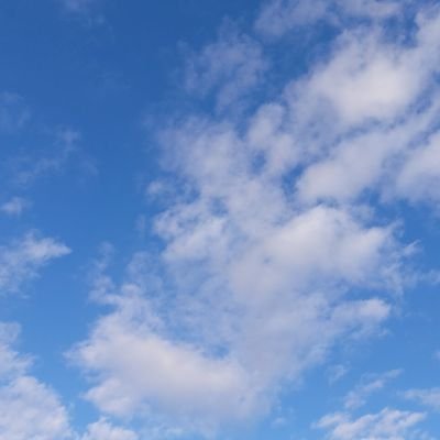 springdata11's profile picture. 
