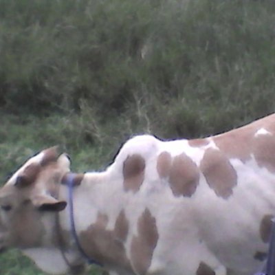 IsaacOyugi6's profile picture. My struggle to move away from sin