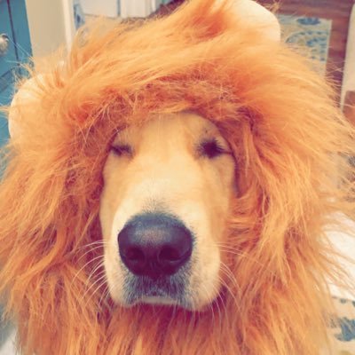 jakeypoo25's profile picture. #striveforgreatness🚀