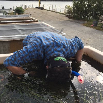 Marine Hab. Resource Specialist @NOAAHabitat (#FishPassage), MS @UofNH - eelgrass in JamesBay, QC. Ecology+freshwater/diadromous fish. he/him. Views are my own.