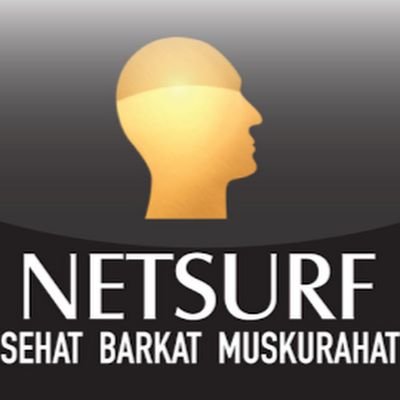 NetsurfC's profile picture. 