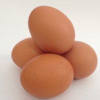 Yorkshire Egg producers Discussion Group (@producersegg) 's Twitter Profile Photo Yorkshire Egg producers Discussion Group (@producersegg) 's Twitter Profile Photo