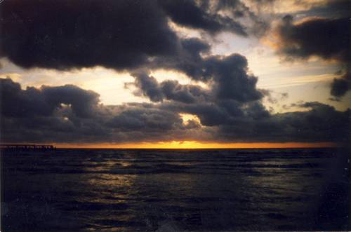 vydkms's profile picture. 