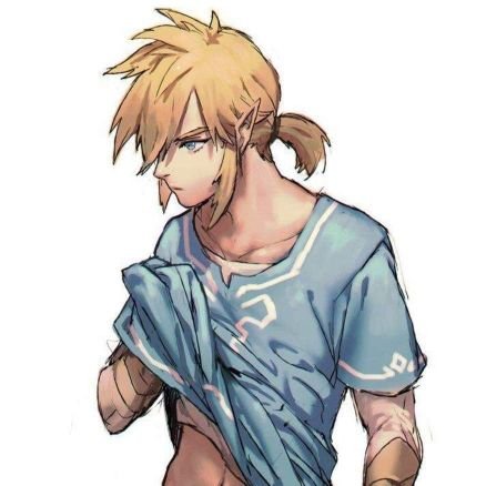 Link90290179's profile picture. hero of hyrule