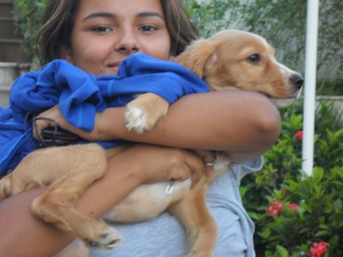 renatahpa's profile picture. 