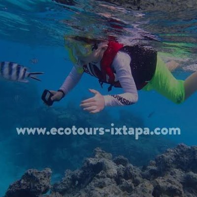 Ecotours-ixtapa, empresa 100% local en Ixtapa Zihuatanejo Guerrero México... ofrece renta de yates, transporte privado, recorrido,pesca, snorkel, transporte...