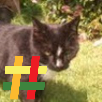 I am a handsome black cat. My human is a hardcore Remainer, a Socialist, a nature lover and an animal lover. He plays bridge and writes books too.