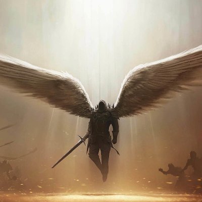 tothren15's profile picture. I am tall